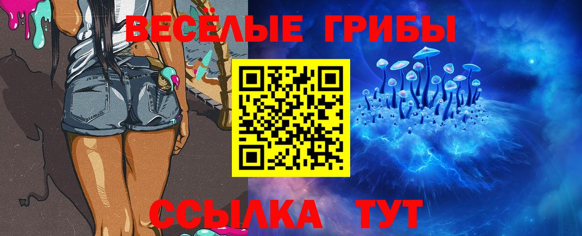 Псилоцибиновые грибы GOLDEN TEACHER  Вход с VPN  Десногорск 